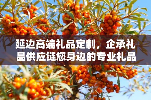 延边高端礼品定制，企承礼品供应链您身边的专业礼品定制公司