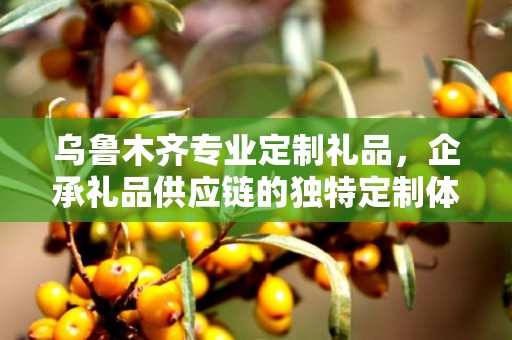 乌鲁木齐专业定制礼品，企承礼品供应链的独特定制体验