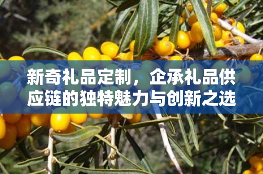 新奇礼品定制，企承礼品供应链的独特魅力与创新之选